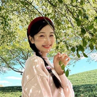 极速小绵羊