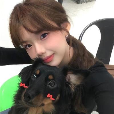 天降神犬2